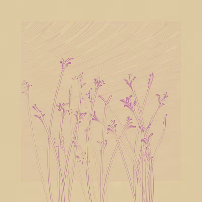 string_pllu #83