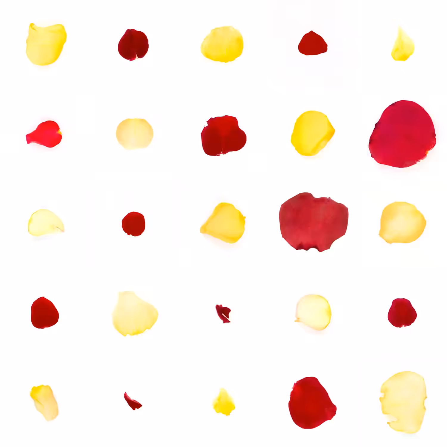 Infinite Petals 5x5#1142