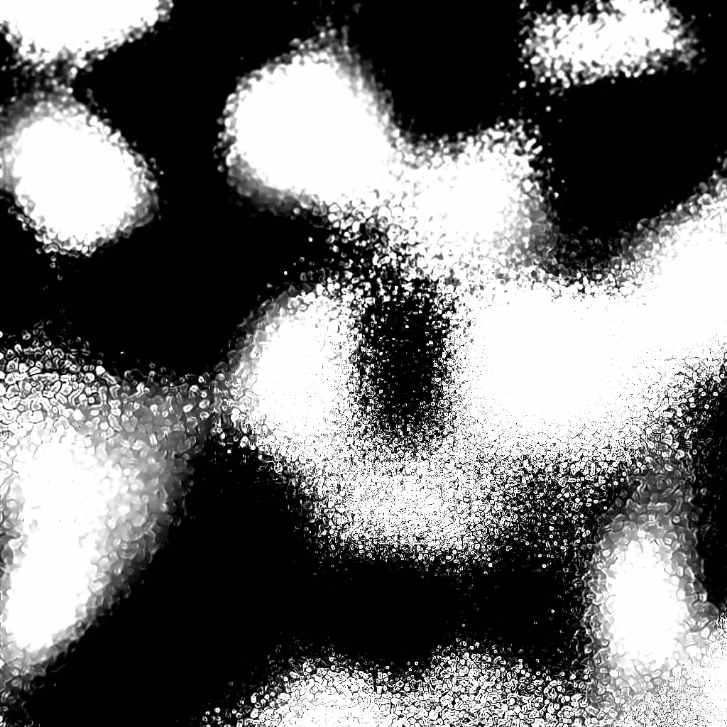 Noise #667 