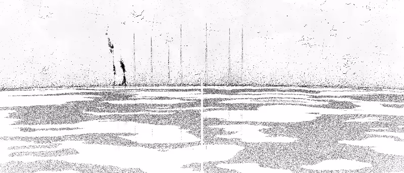 Expanse #91