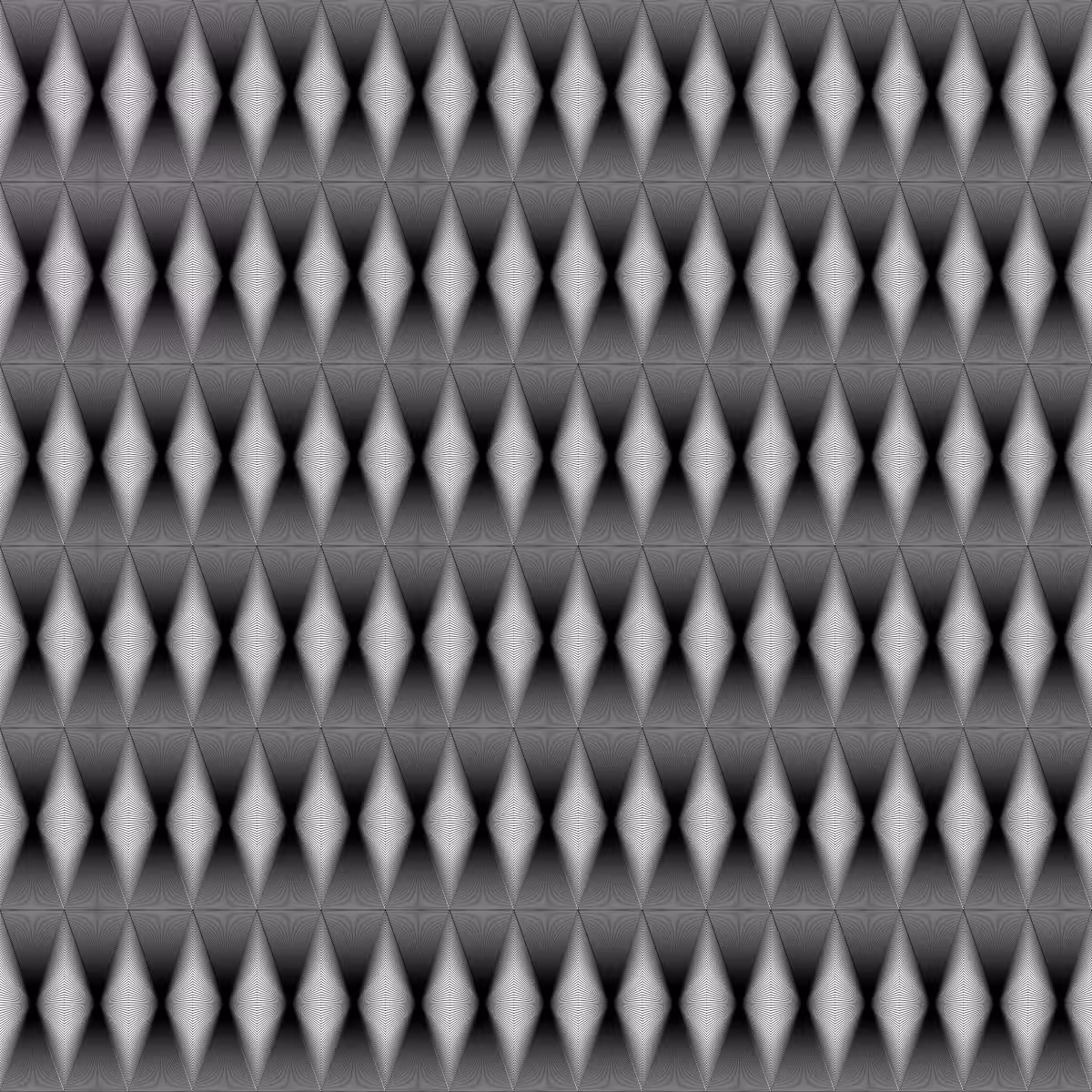 Noir et Blanc #141