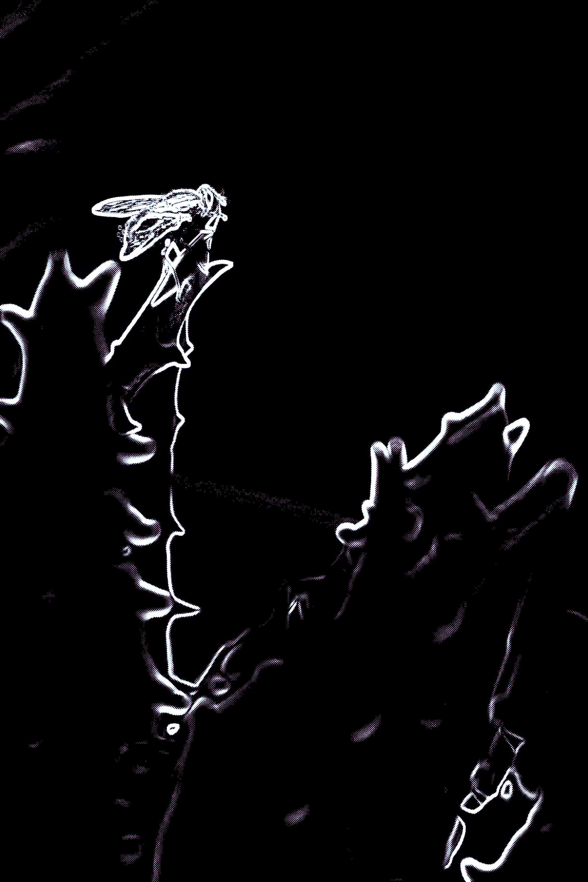 La Mosca