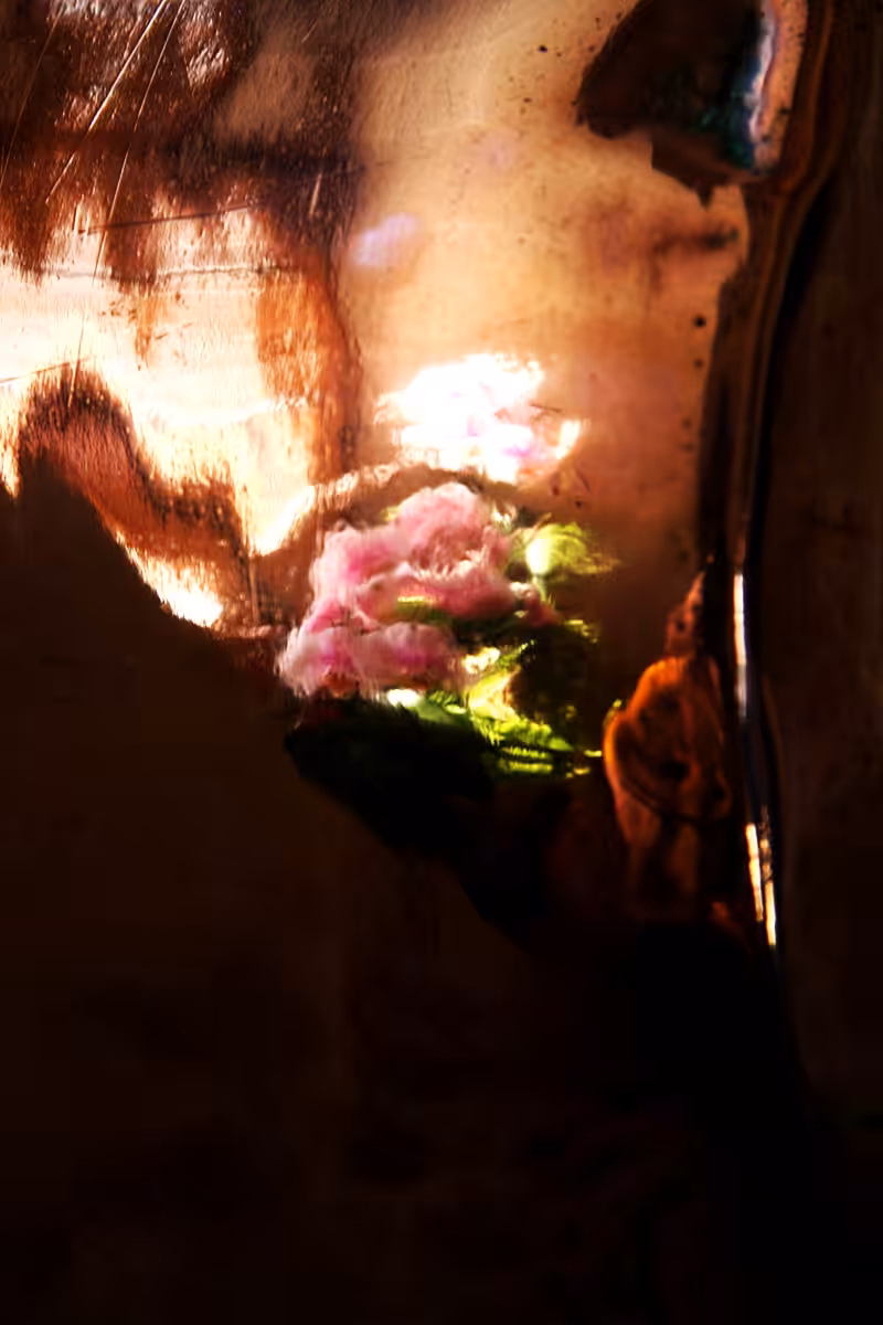 blossoms