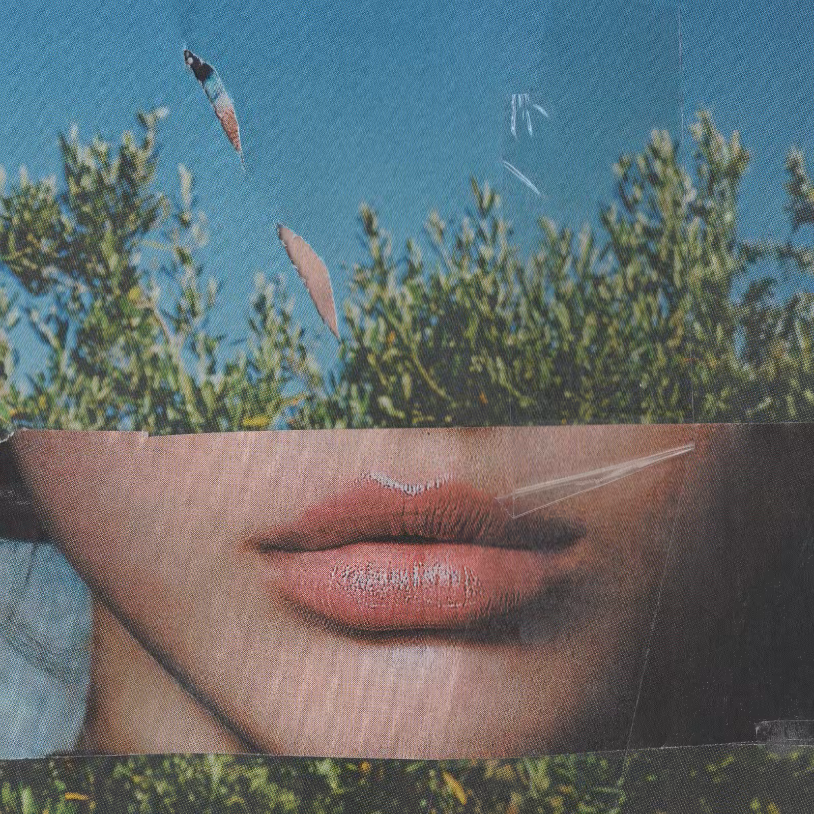 1mouth analog #103