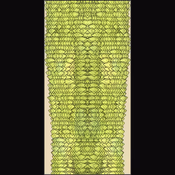 Snake Shell #43