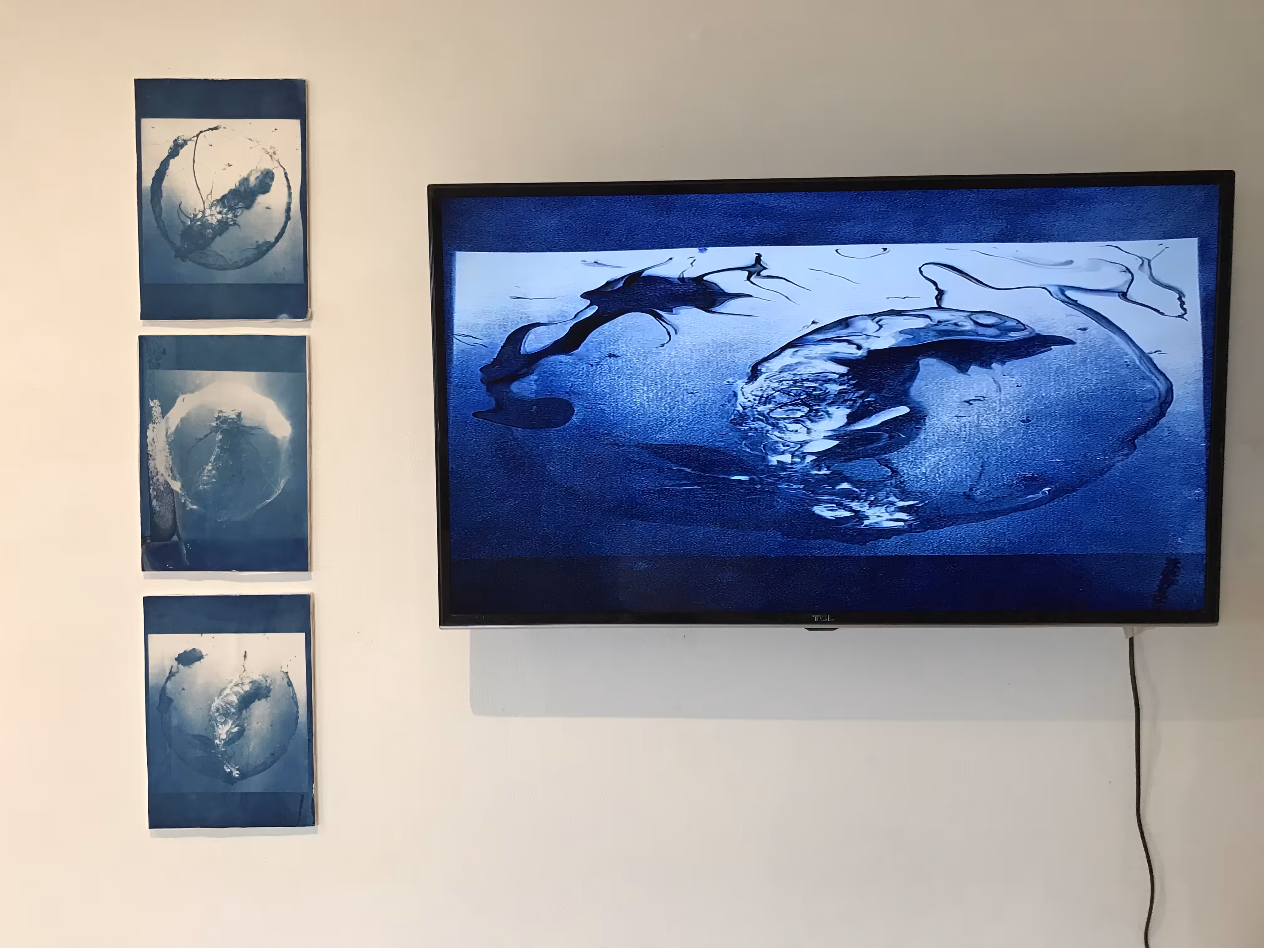 plastisphere creatures - Manipulated exhibition documentation #1