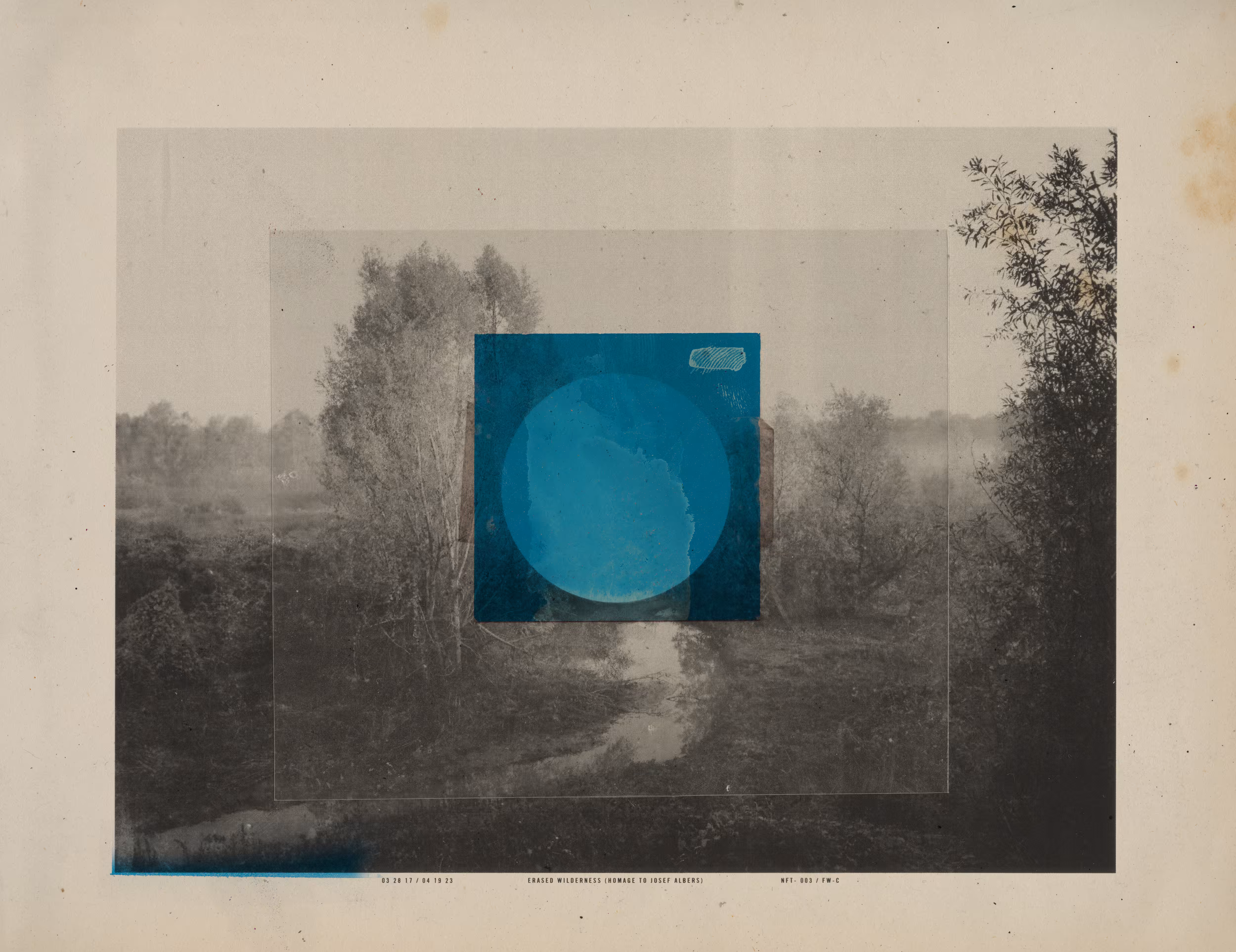 ERASED WILDERNESS