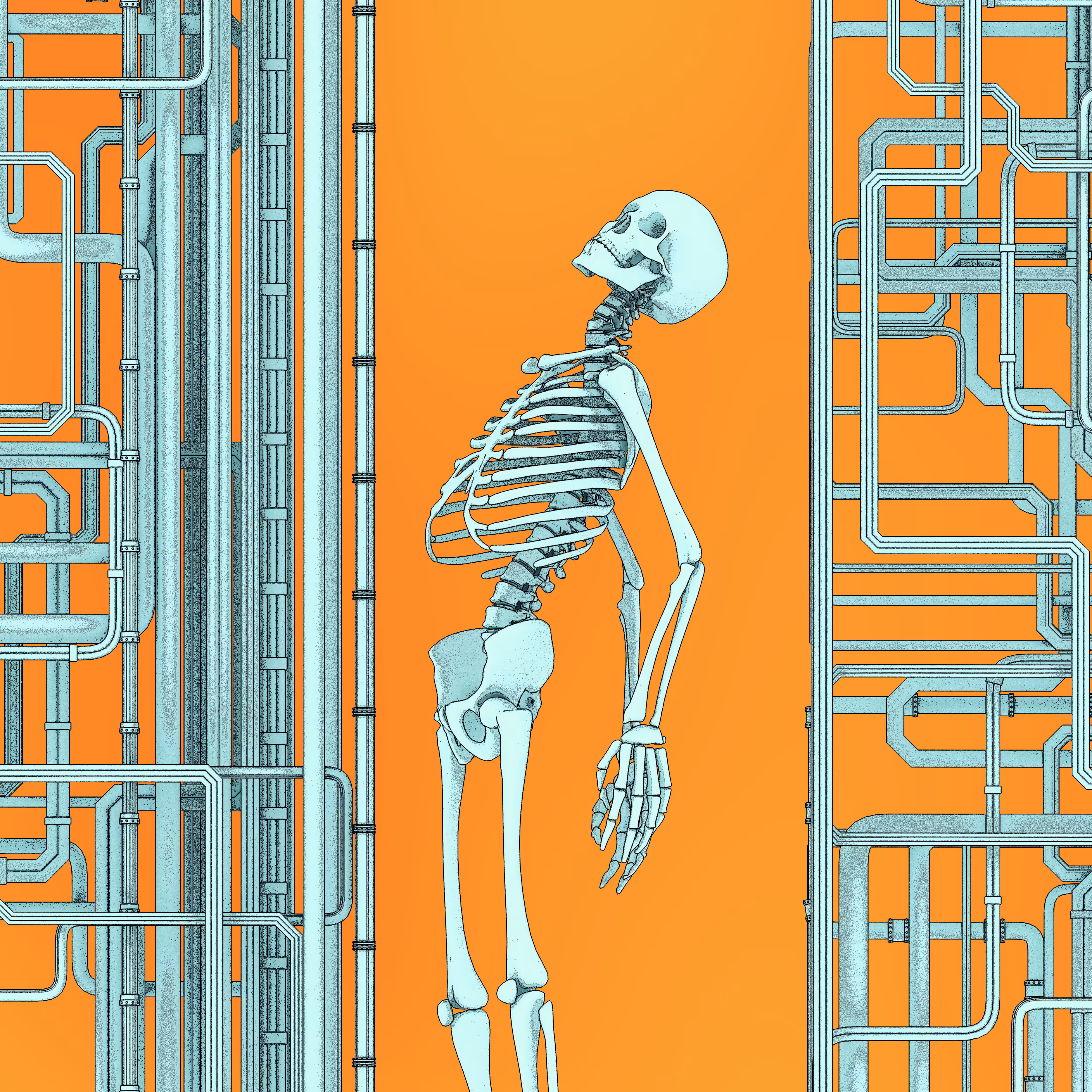 Vibrant Visions of the Skeleton