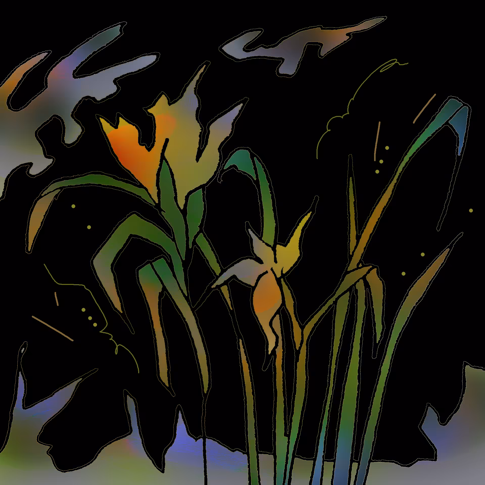 wild daffodils