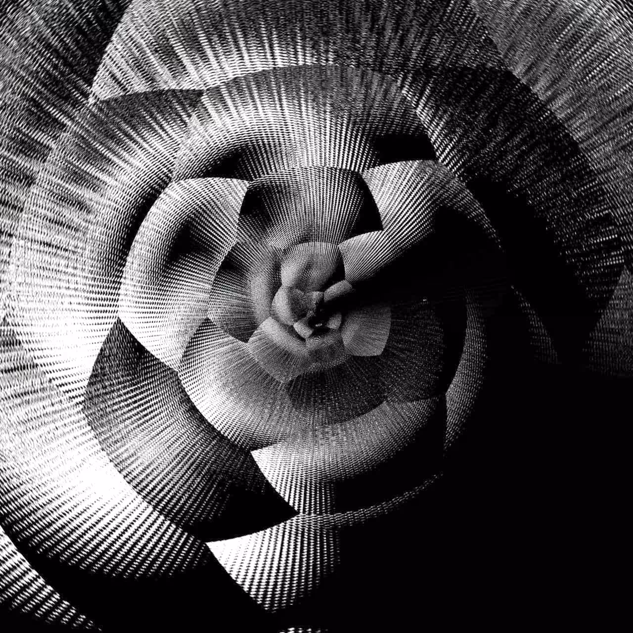 My Fav Flower