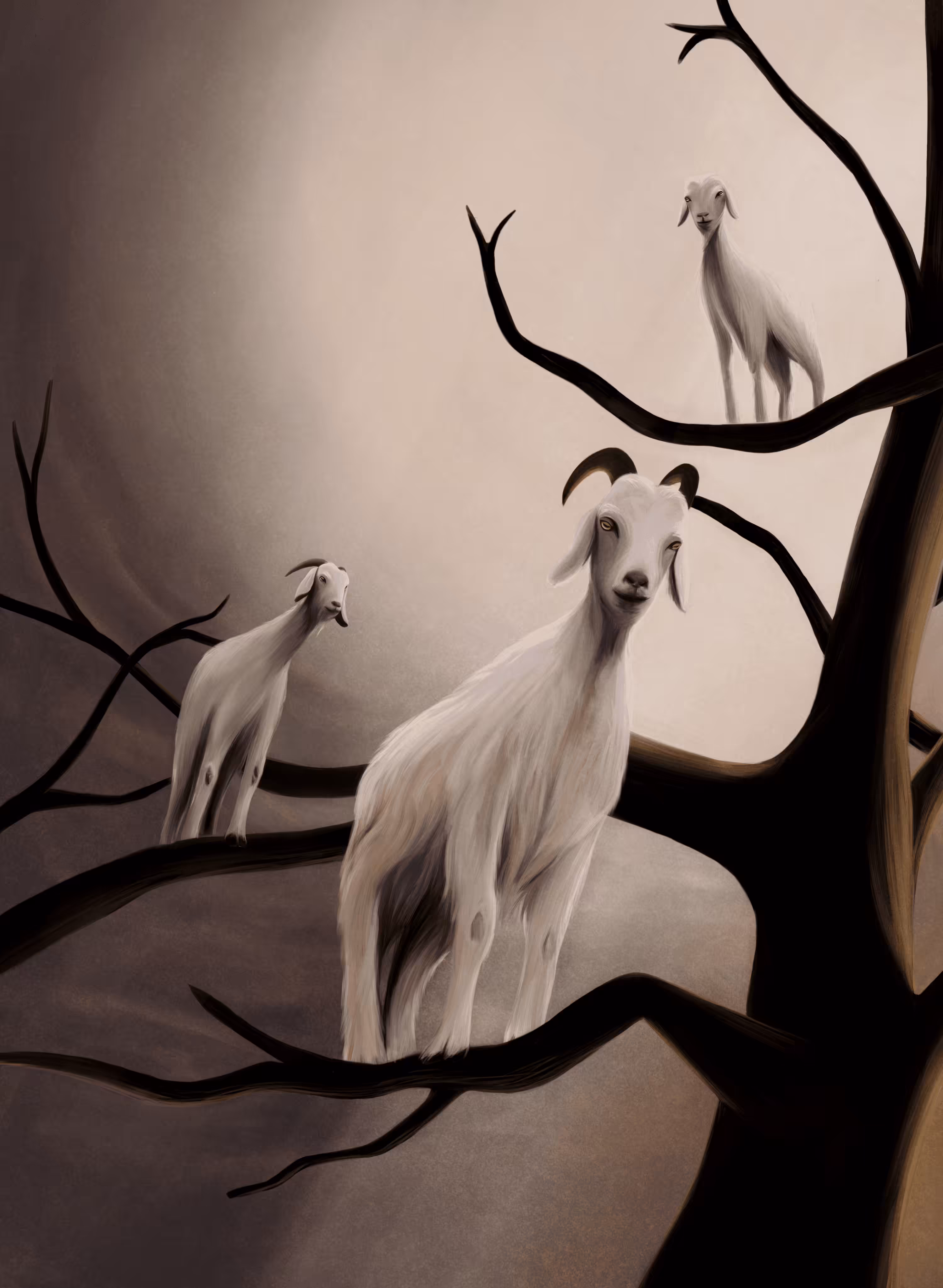 Tamed series