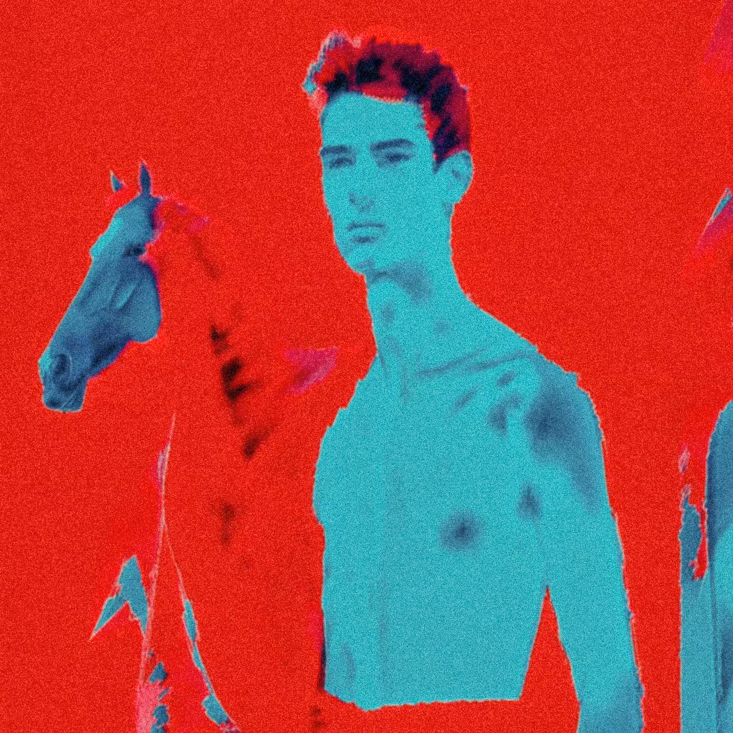 Horse and his boy