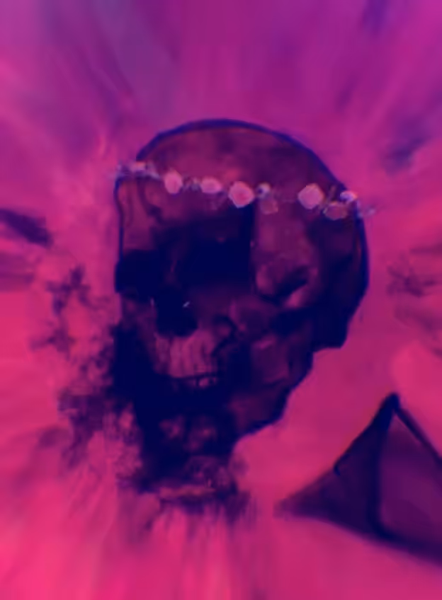 Skull Bride