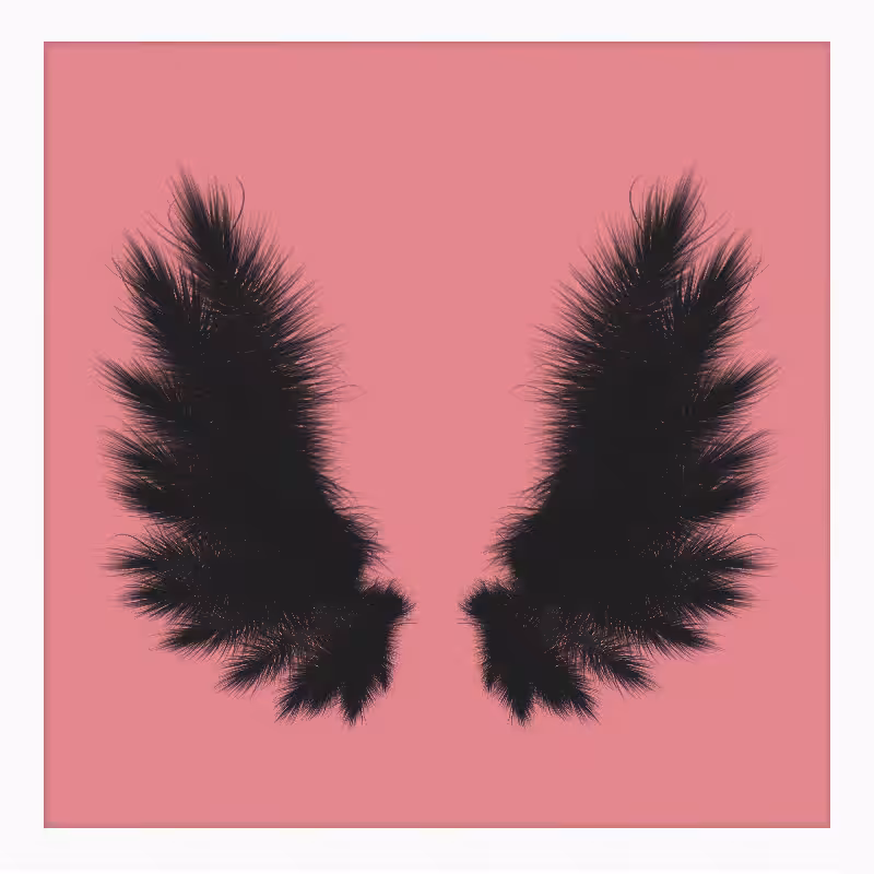 Symmetrical Wings #2