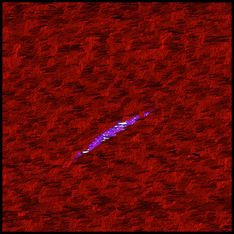 Flow Field Circles Triangle #27