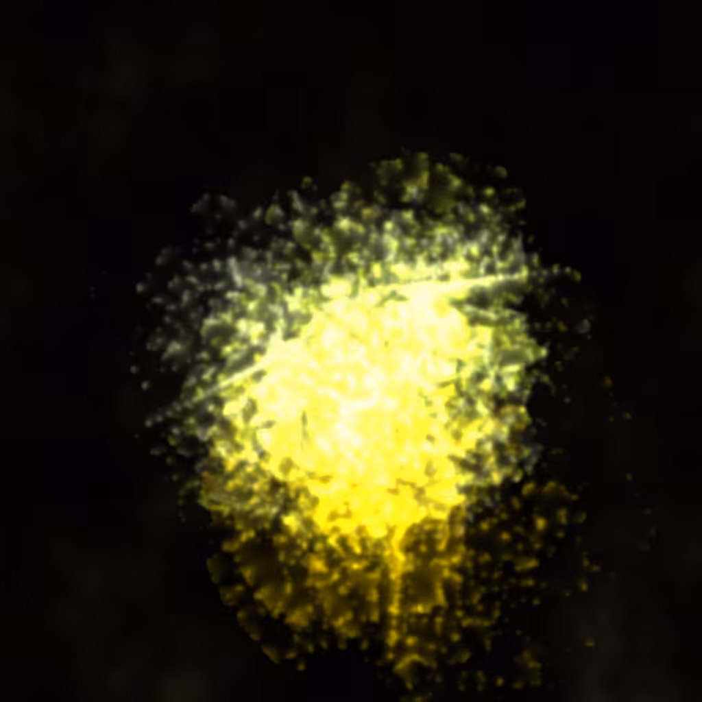 celebration! #202