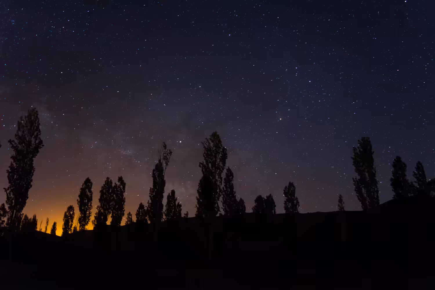 Star Lines #15; Night Banquet