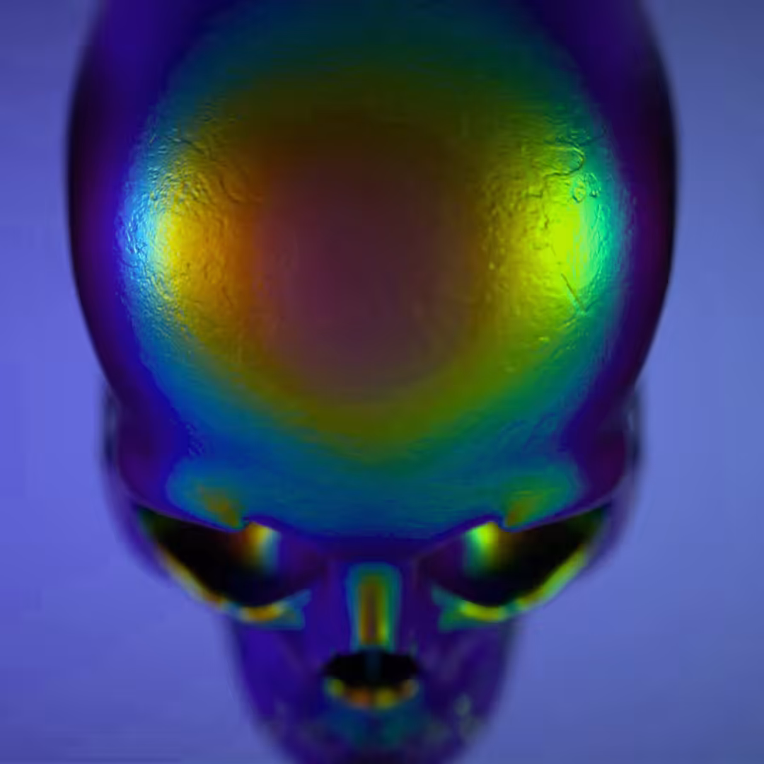 Hominem Novum
