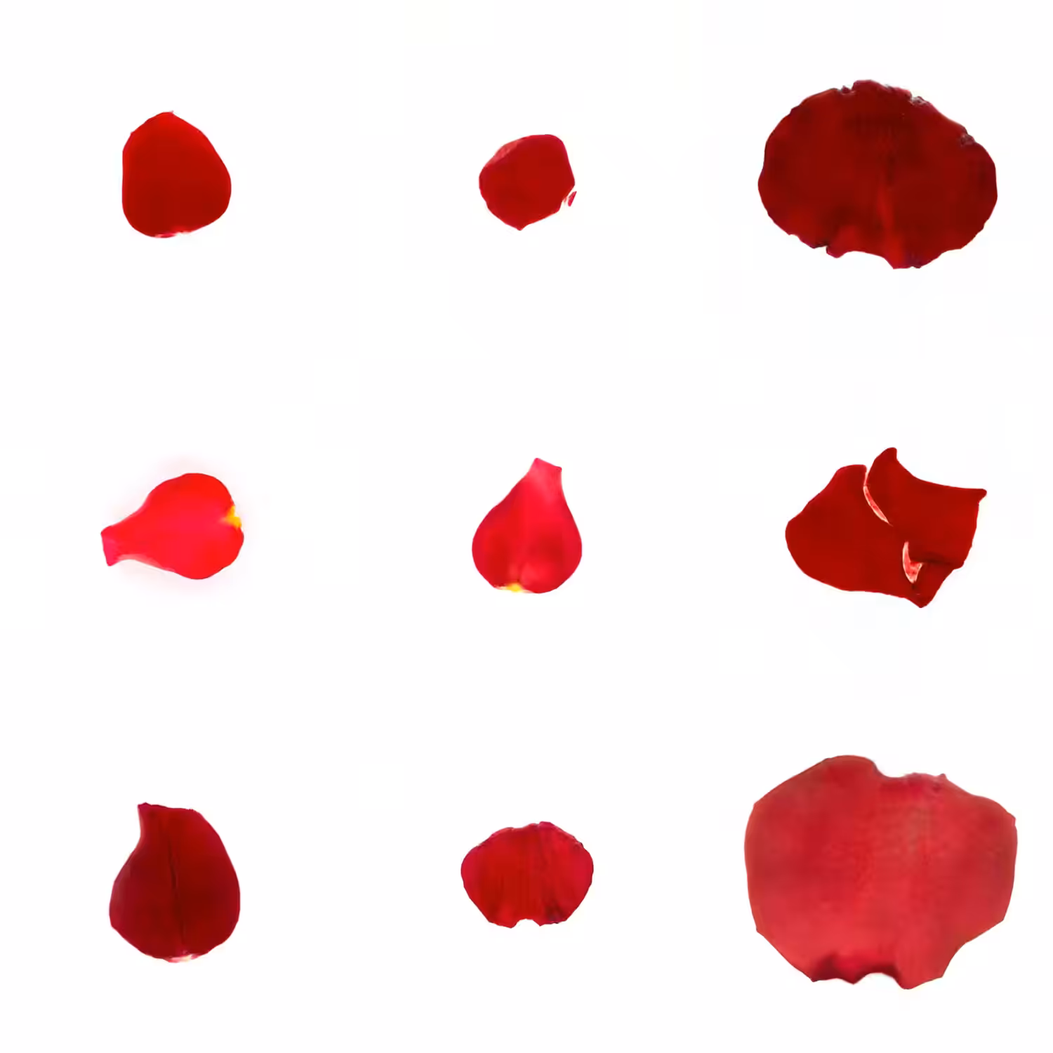 Infinite Petals 3x3#3379