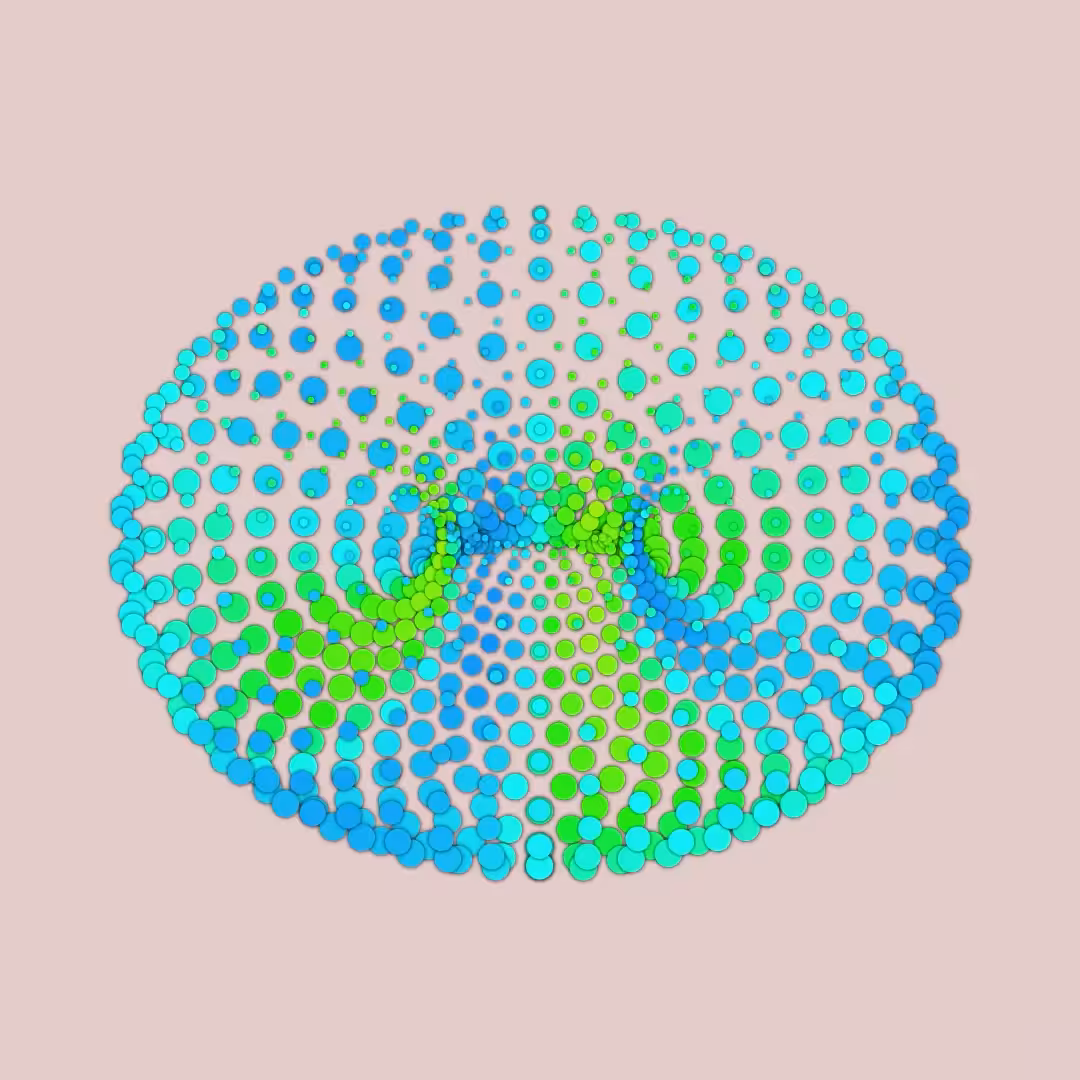 Torus 02