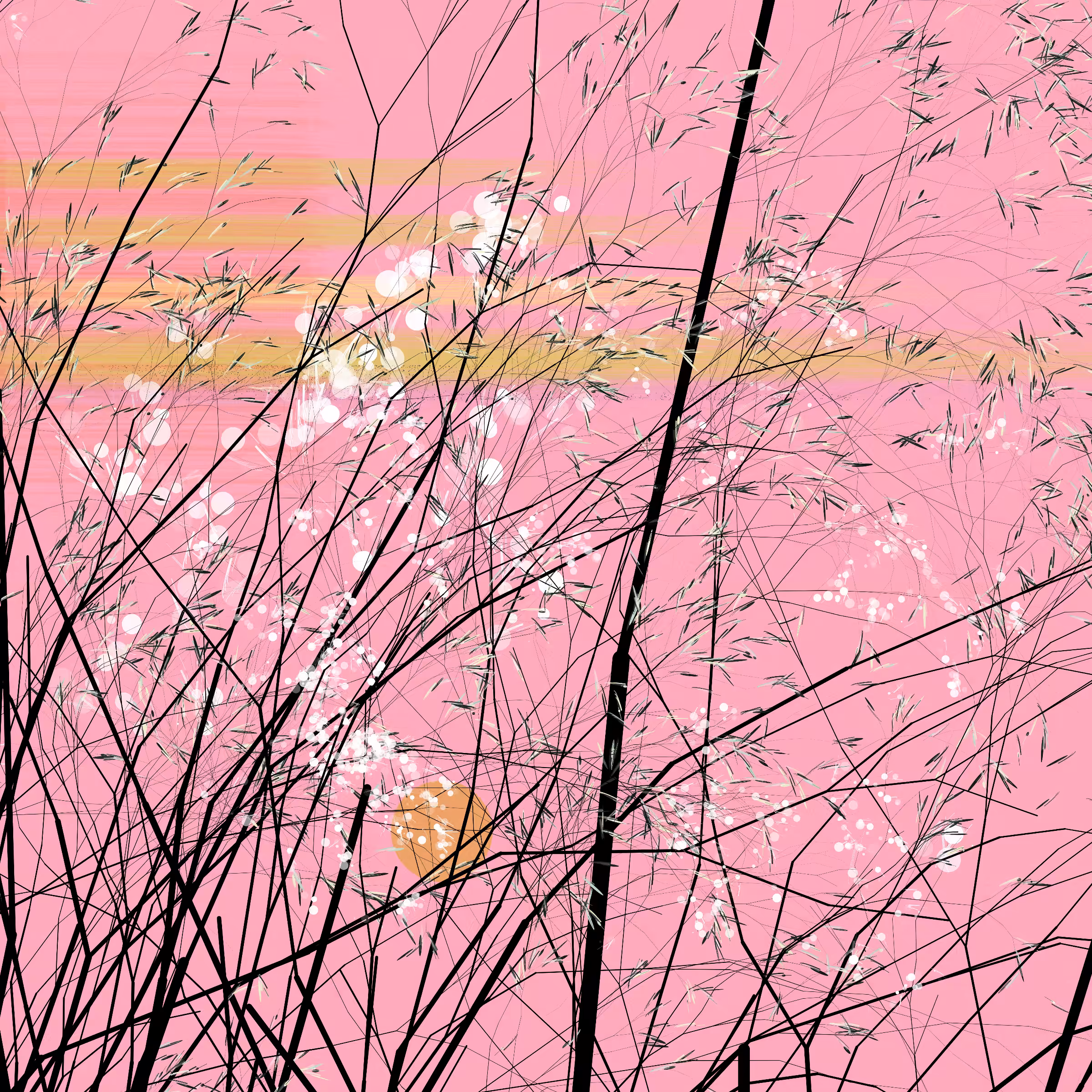 conversation with the wind #403