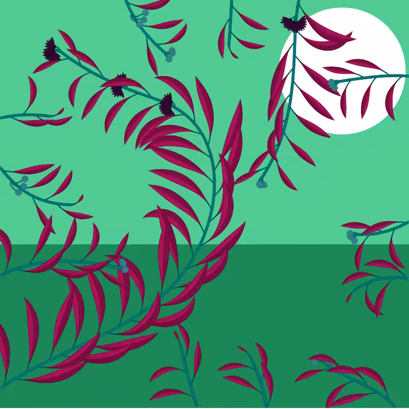 Through the leaves #416