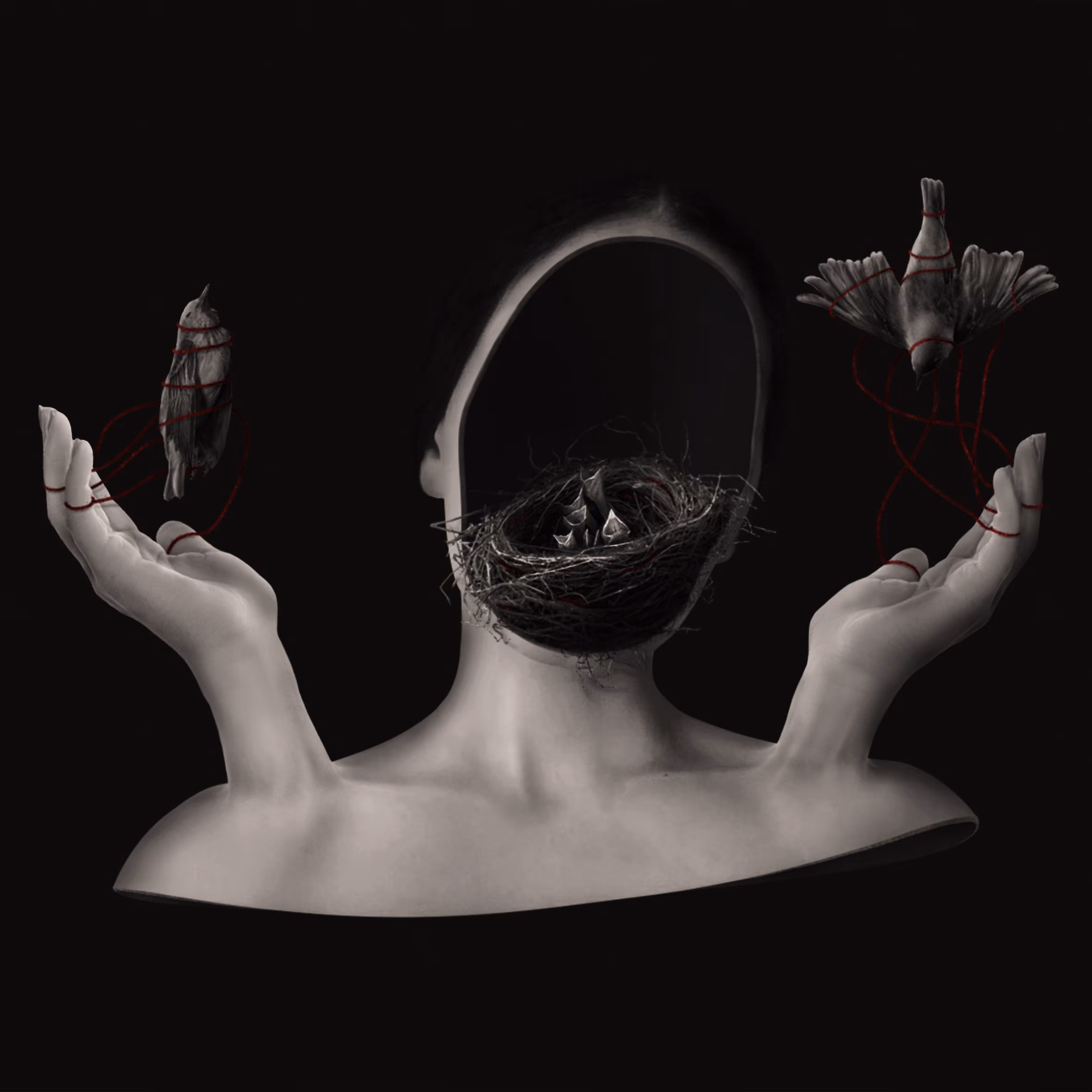 CAPTIVITY