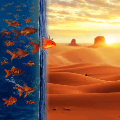 A journey to survive