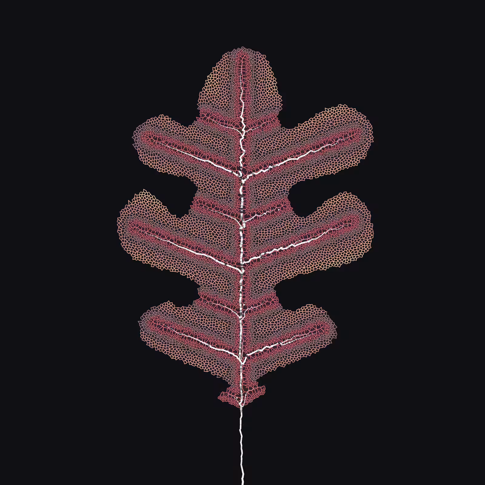 Leaf study #50