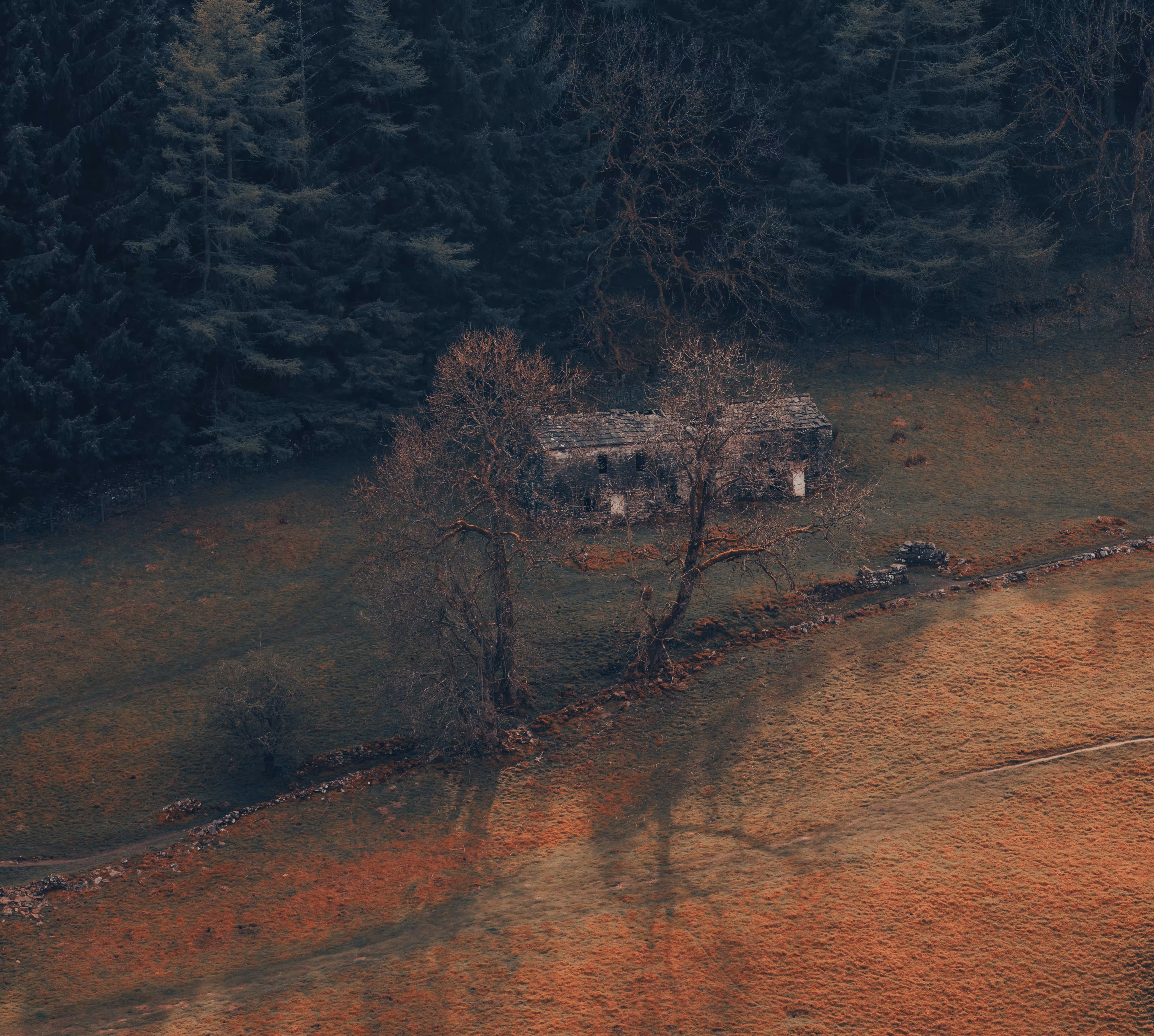 Nature