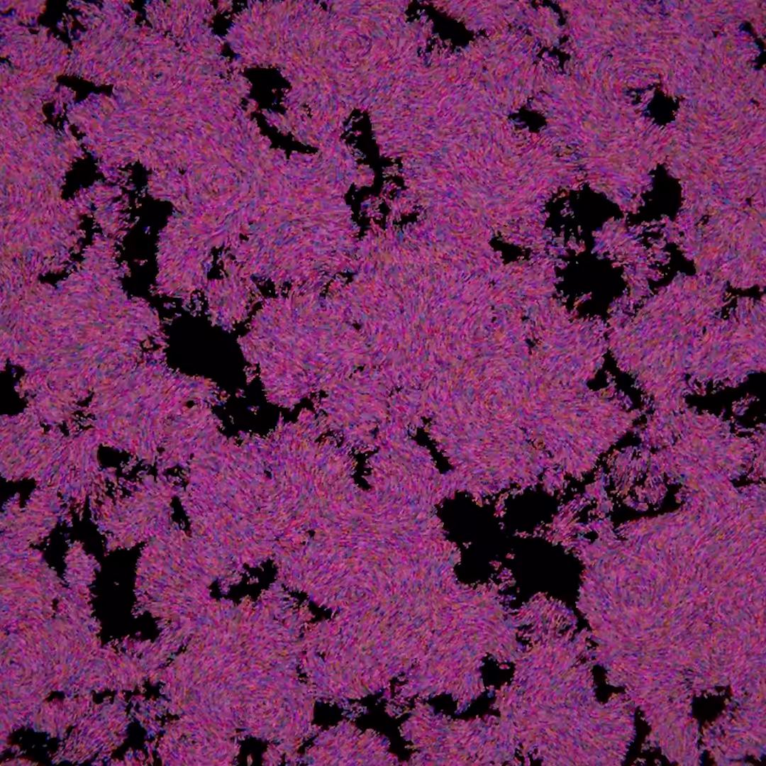 Convolutions 2