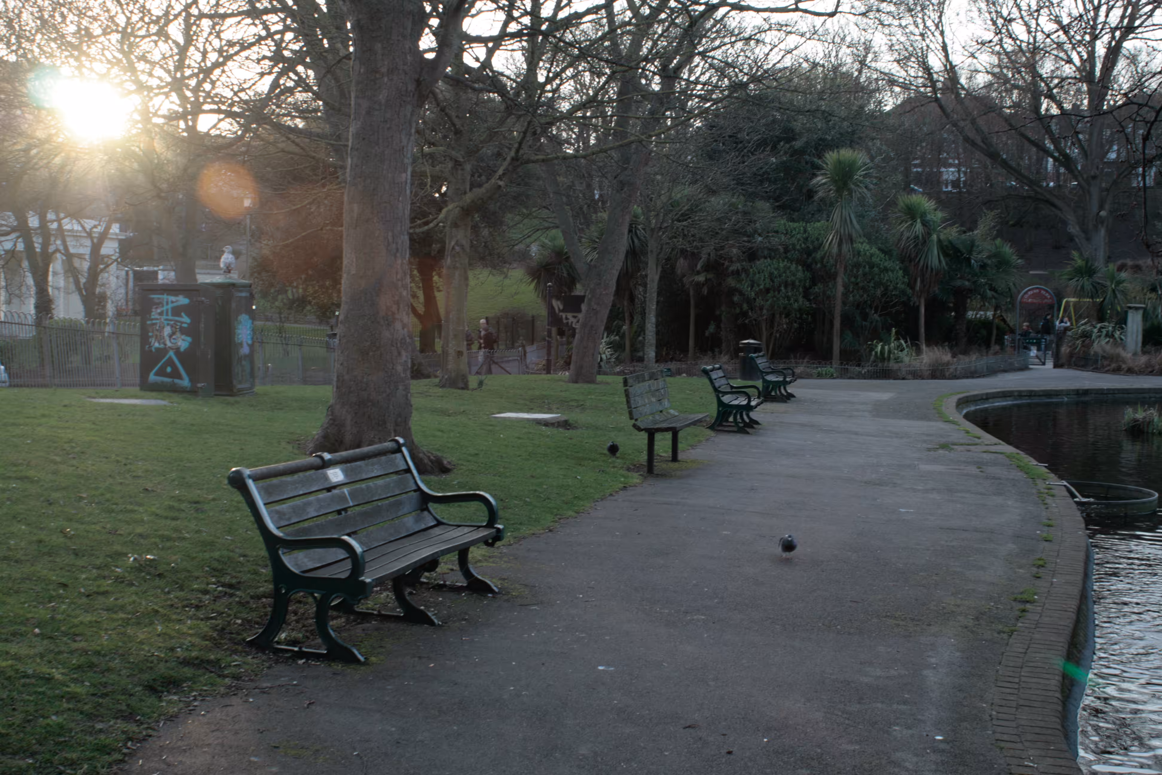Queens Park Duck Pond