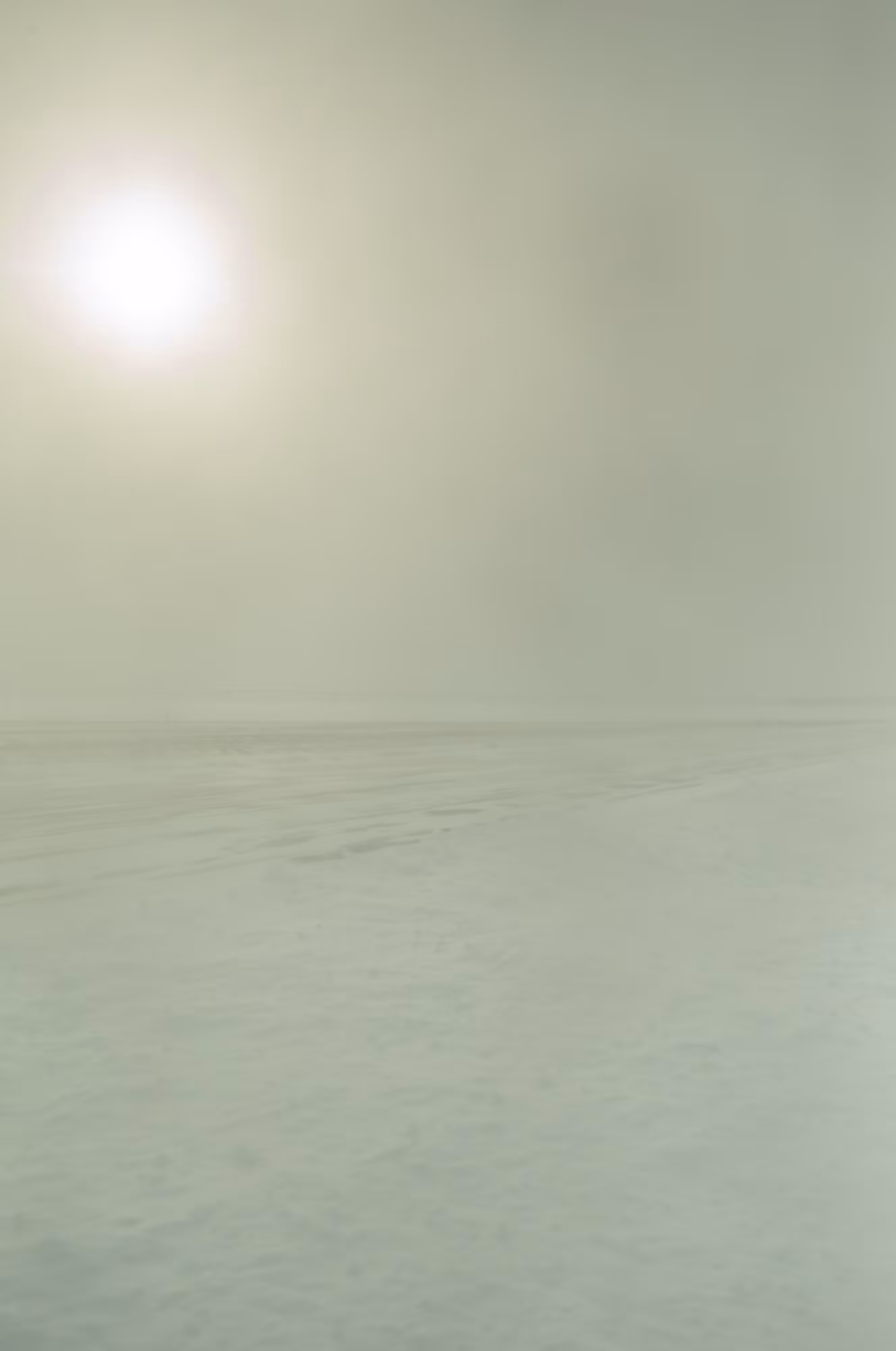 The Black Mechanism #55 (Untitled 12082-3023) by Todd Hido