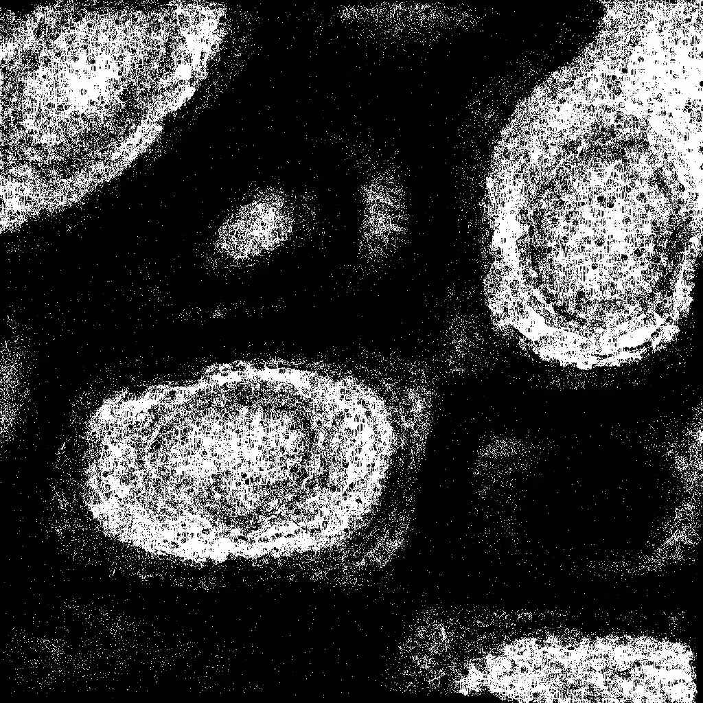 HIDDEN IN NOISE: Noise #245 