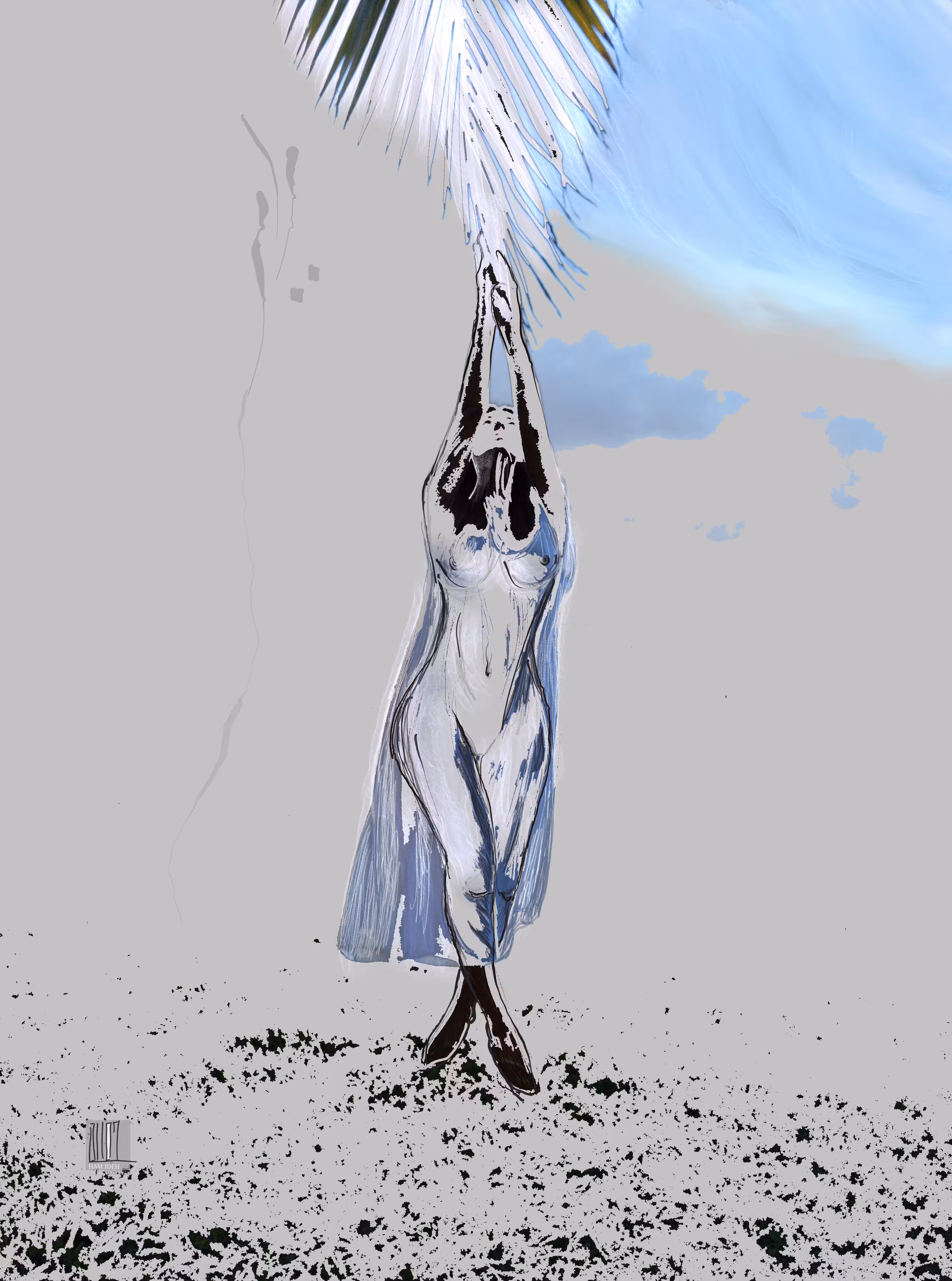 "Take me & Fly"