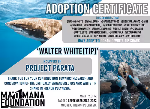 Adoption Certificates