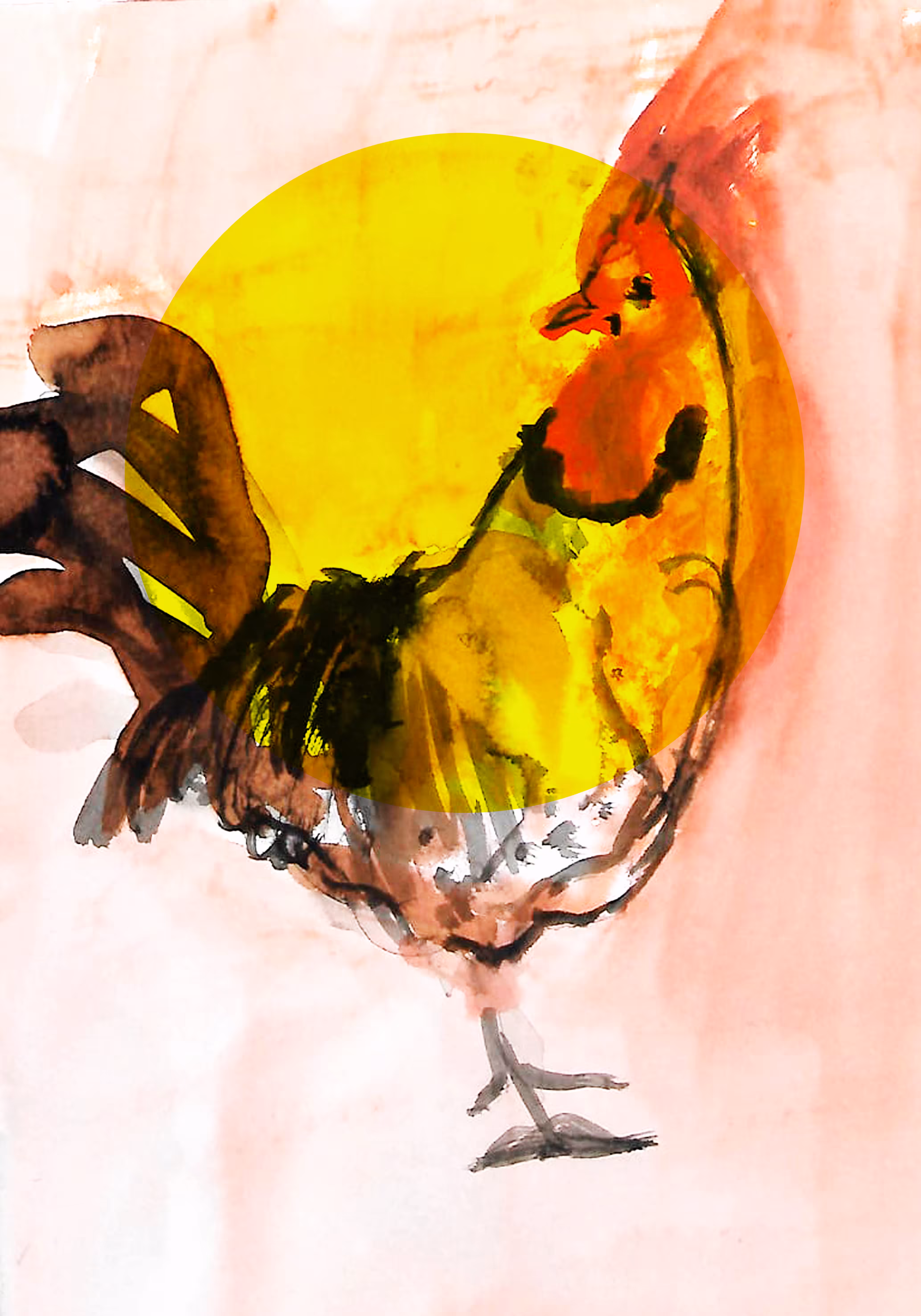 Otro Gallo