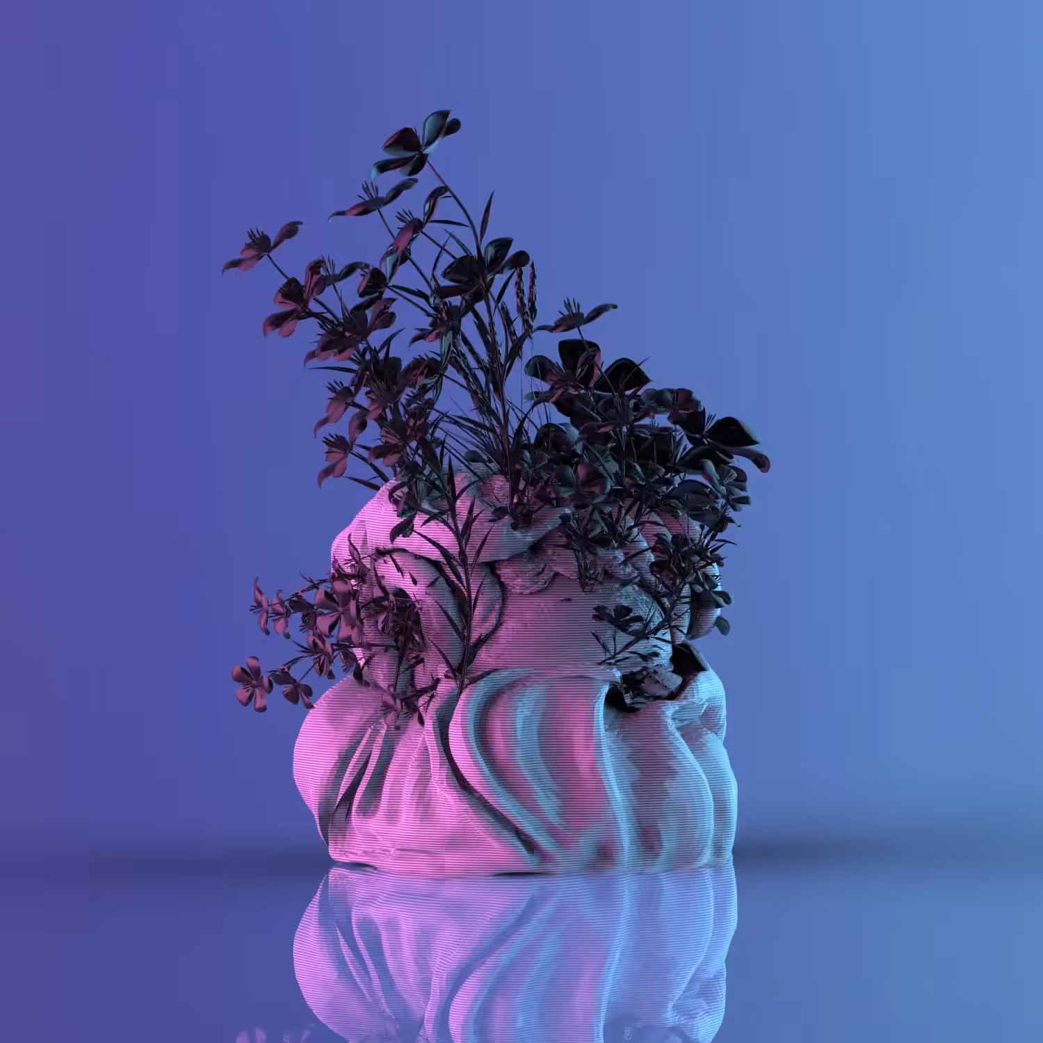 blackOrchids.01