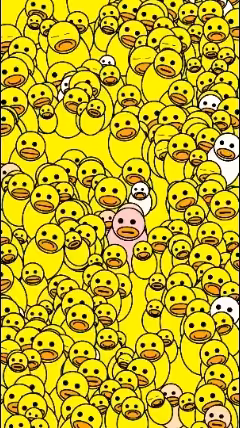 Odd Ducks