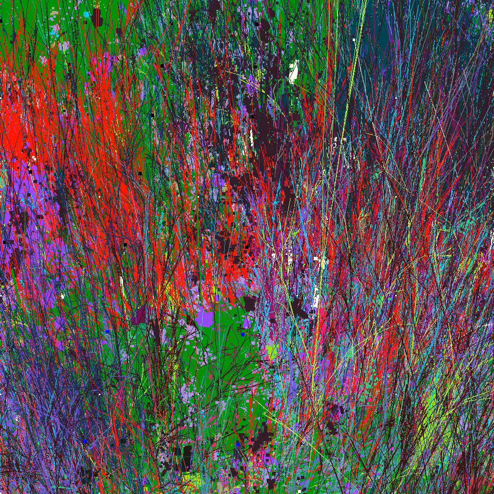 Infinite Garden: 192393 Flowers