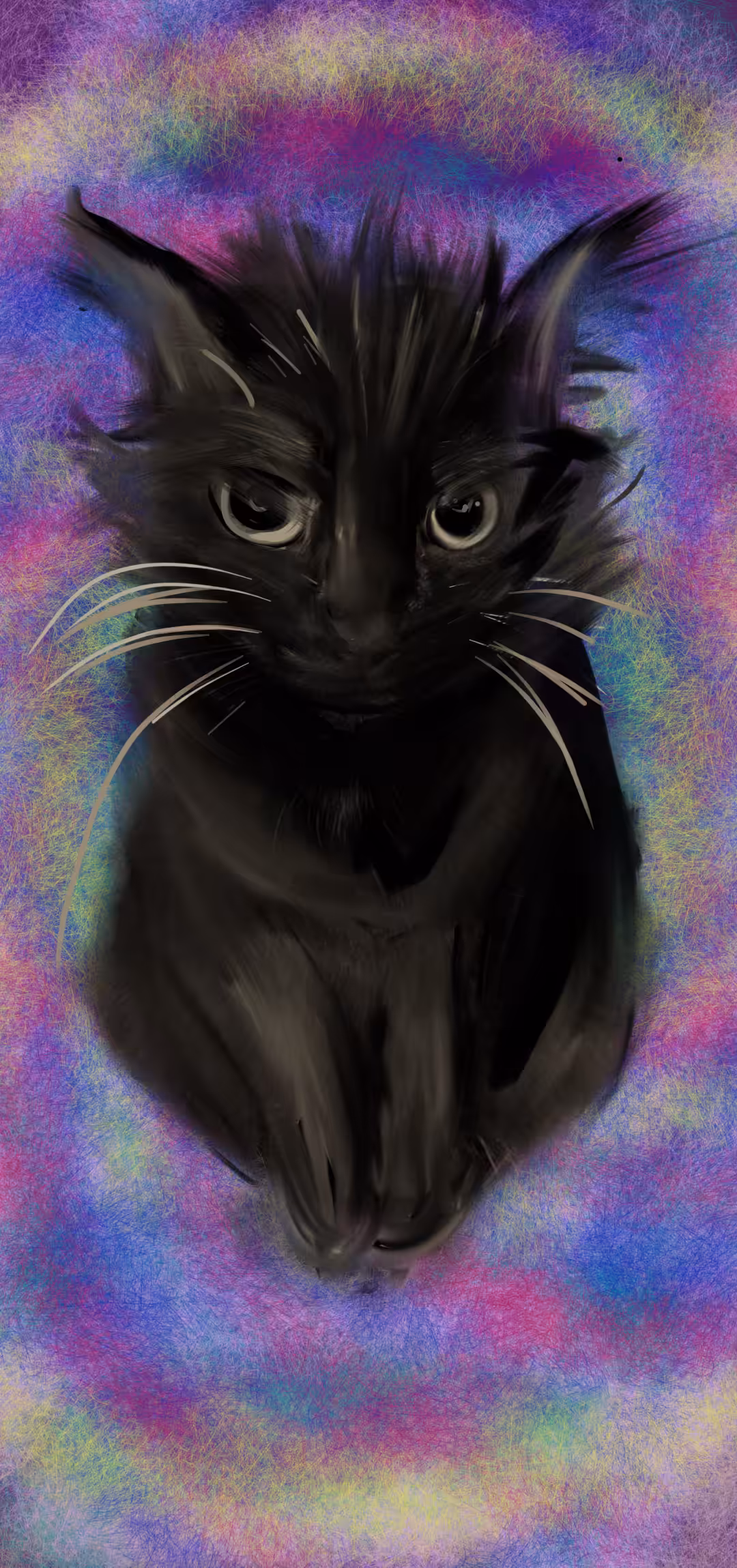 drugged cat