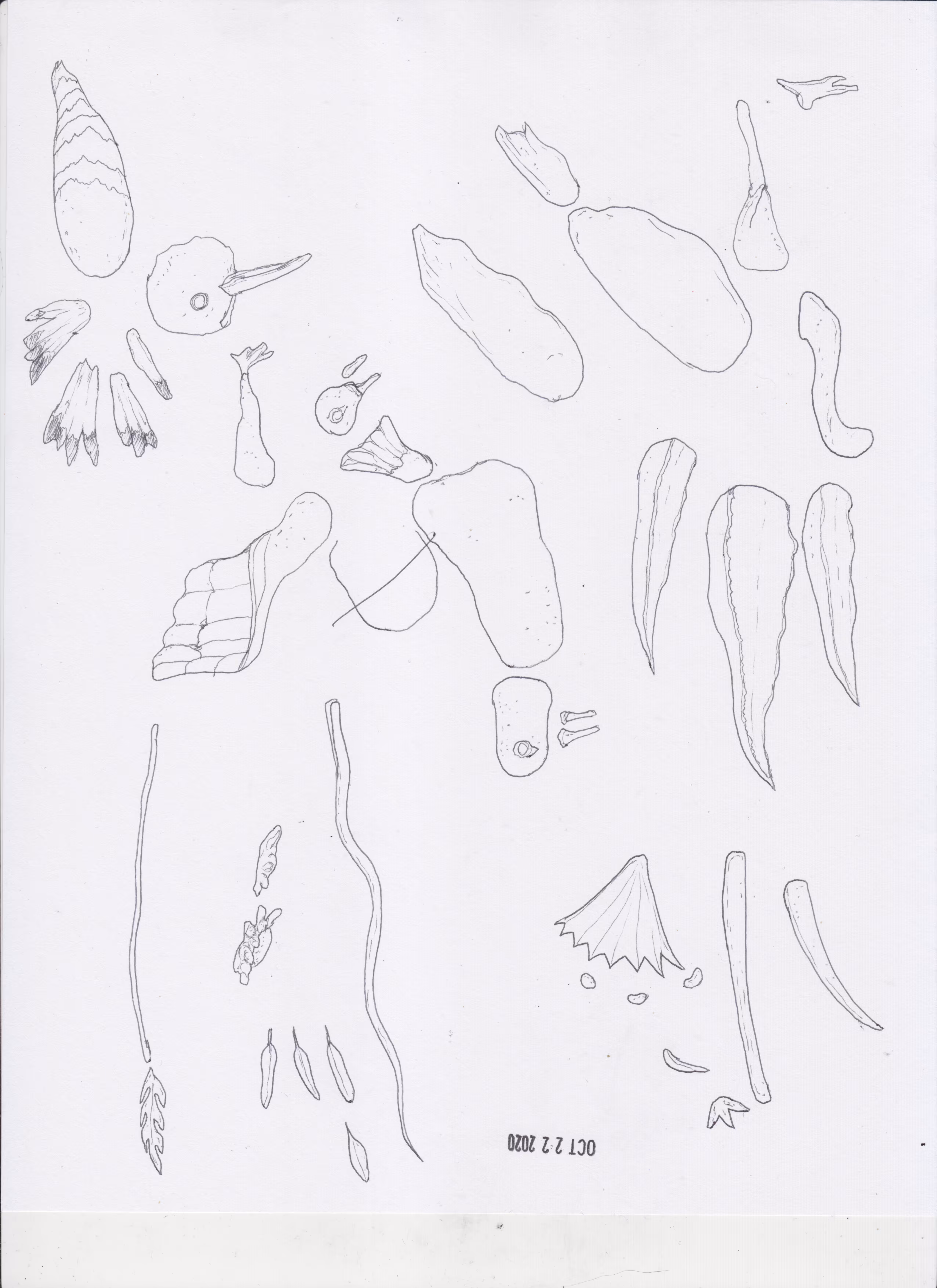ELEMENTS: ELEMENT_21