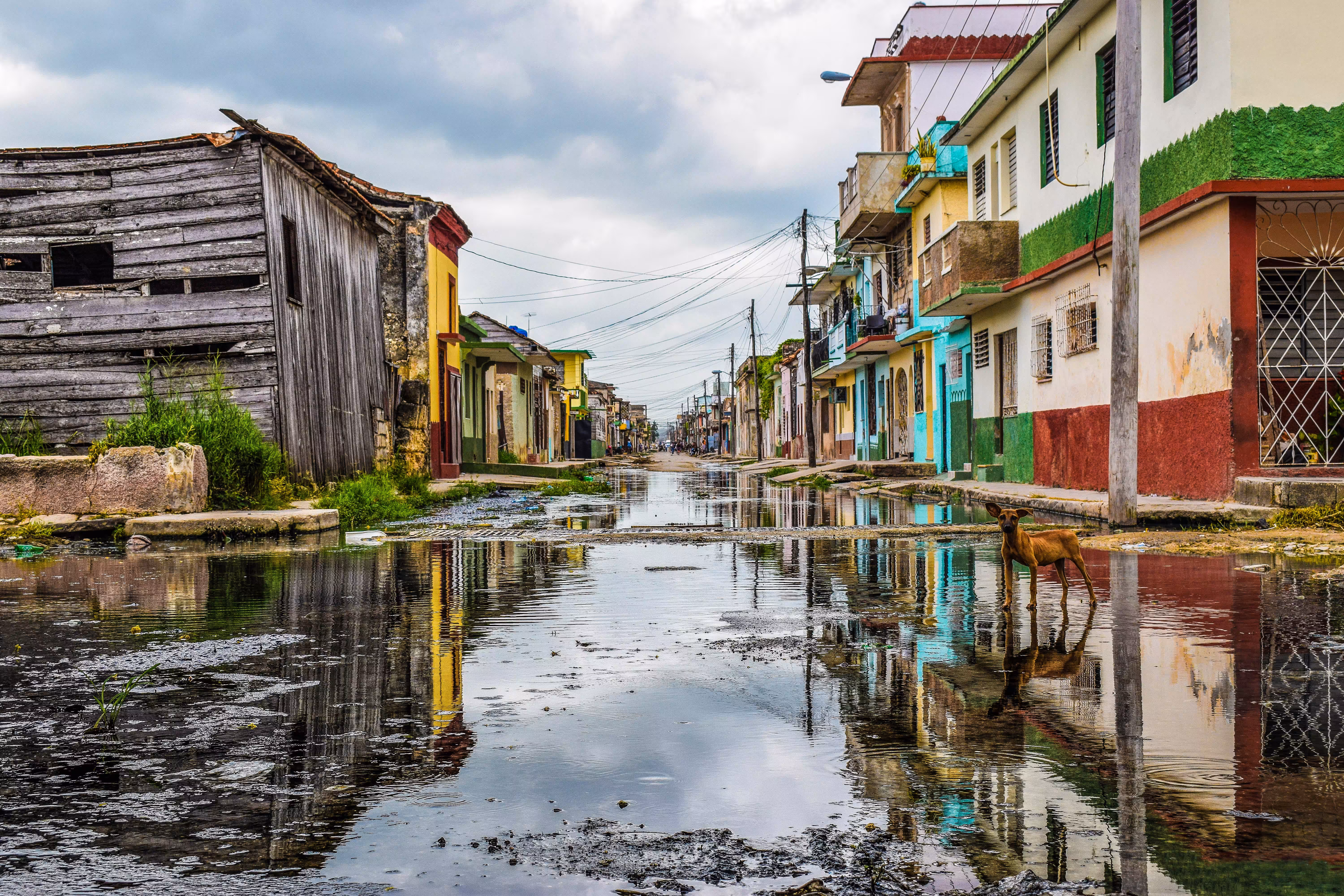 Tropical Venice