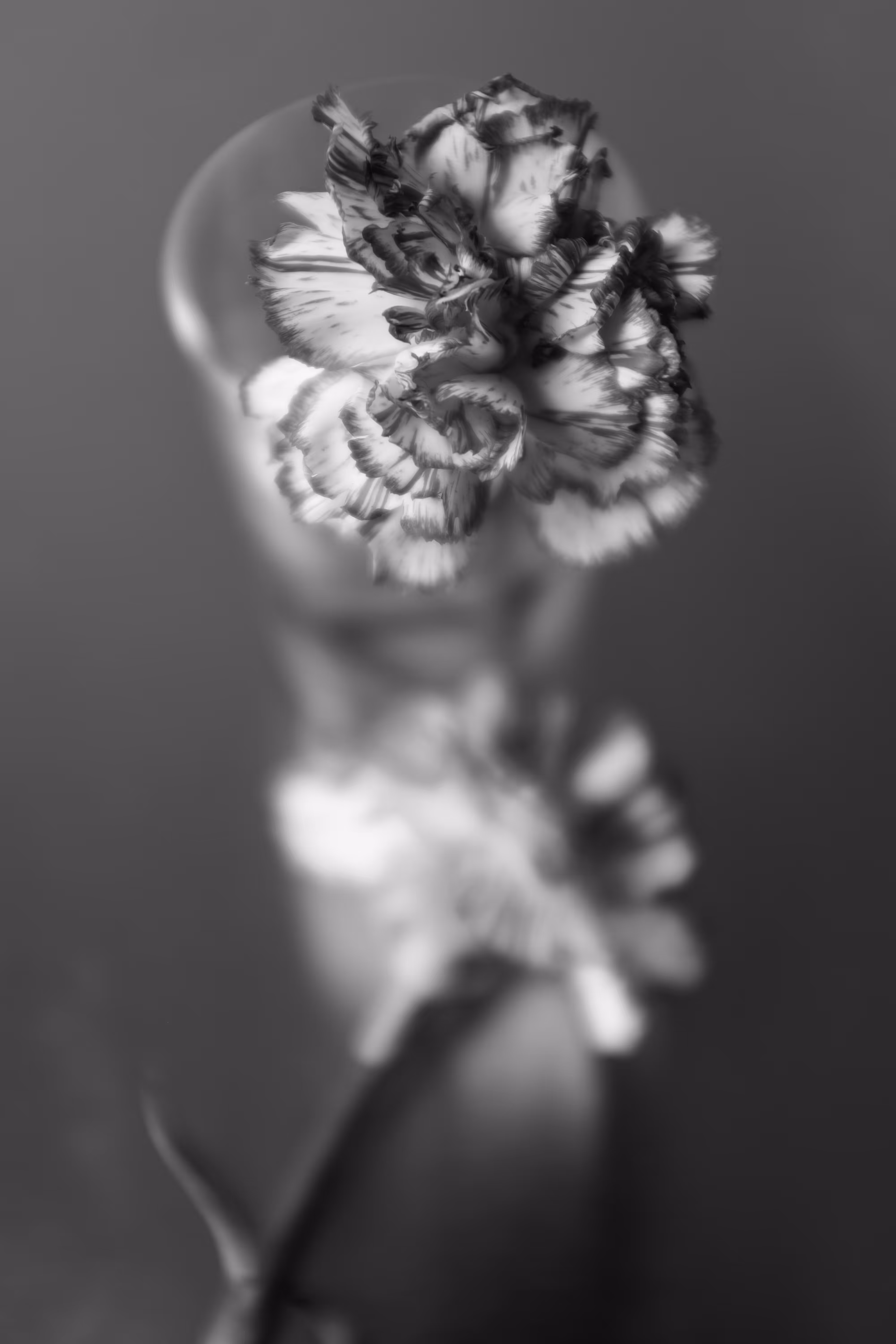 LUX No 6
