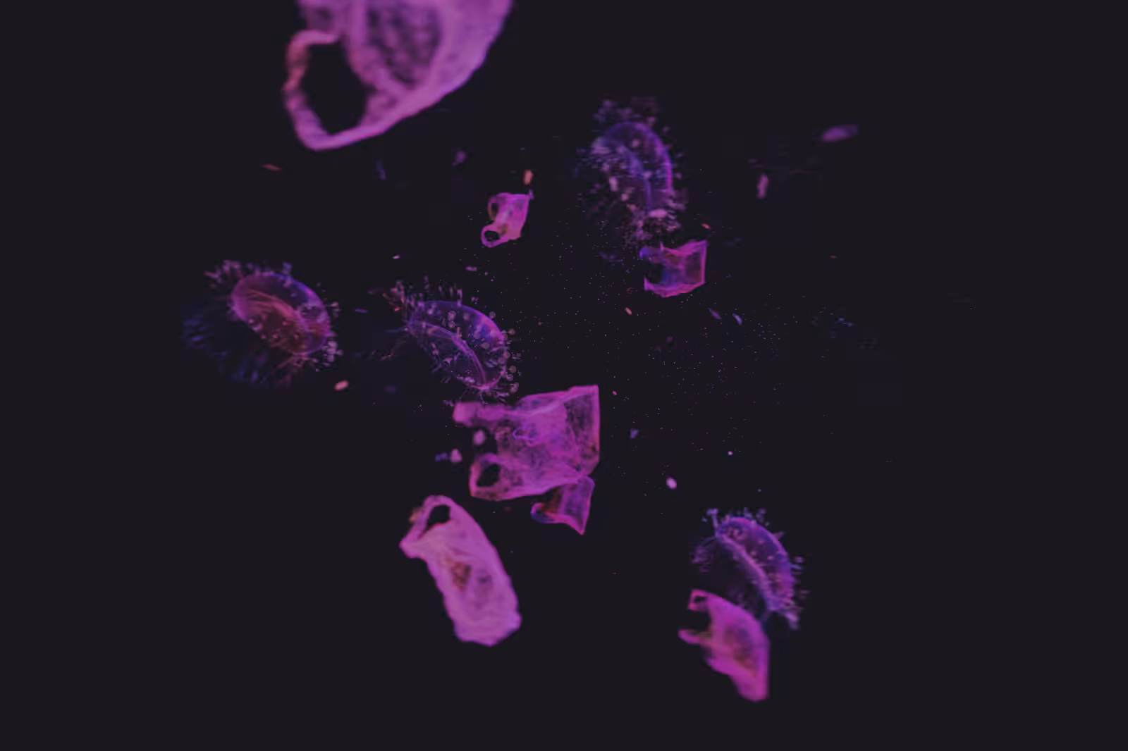 Turtle Vision #213