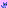 Purple Space Kitty
