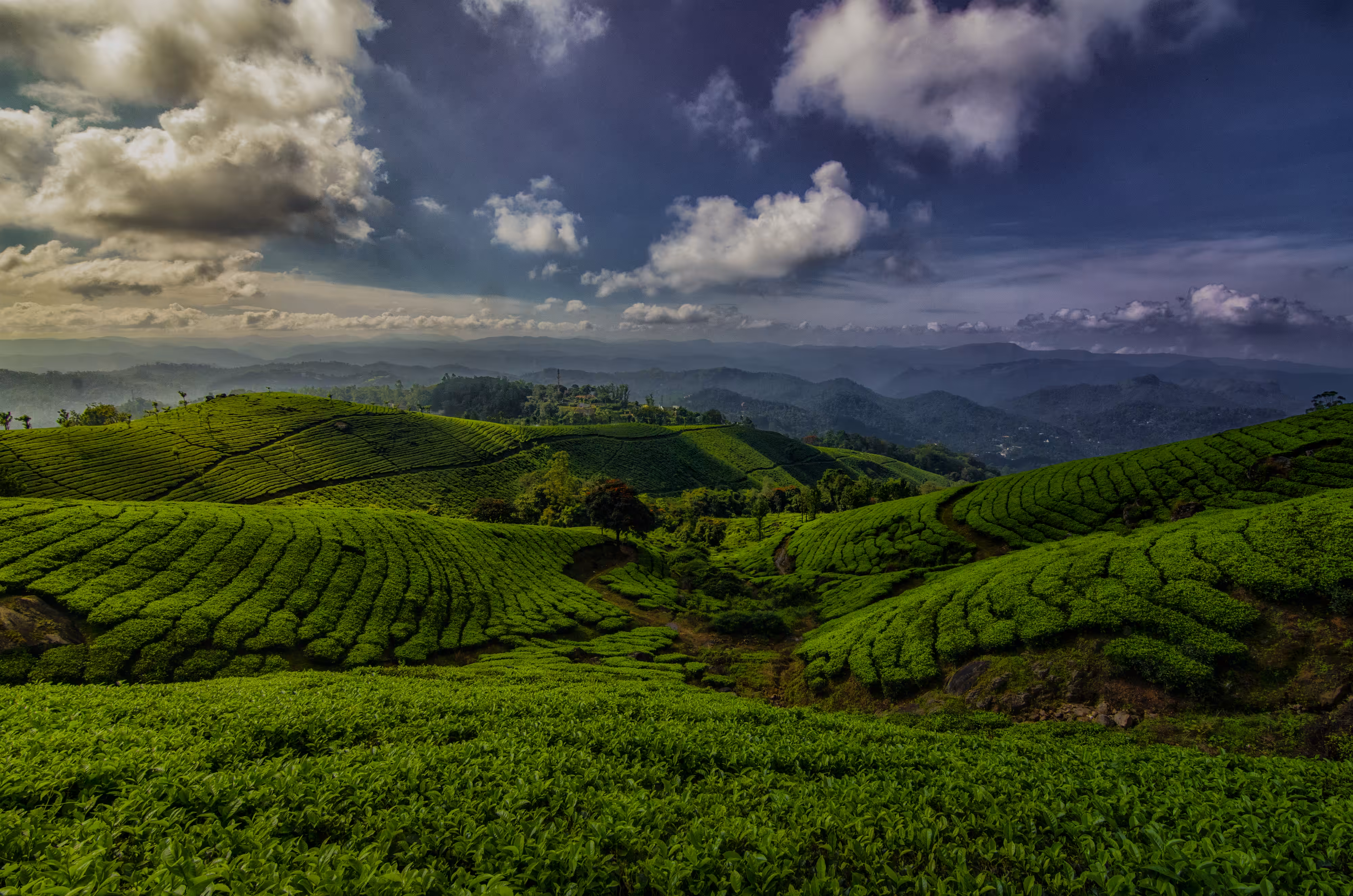 The Green 