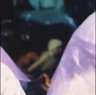 Fabulous beings in their natural habitat - Witches party 