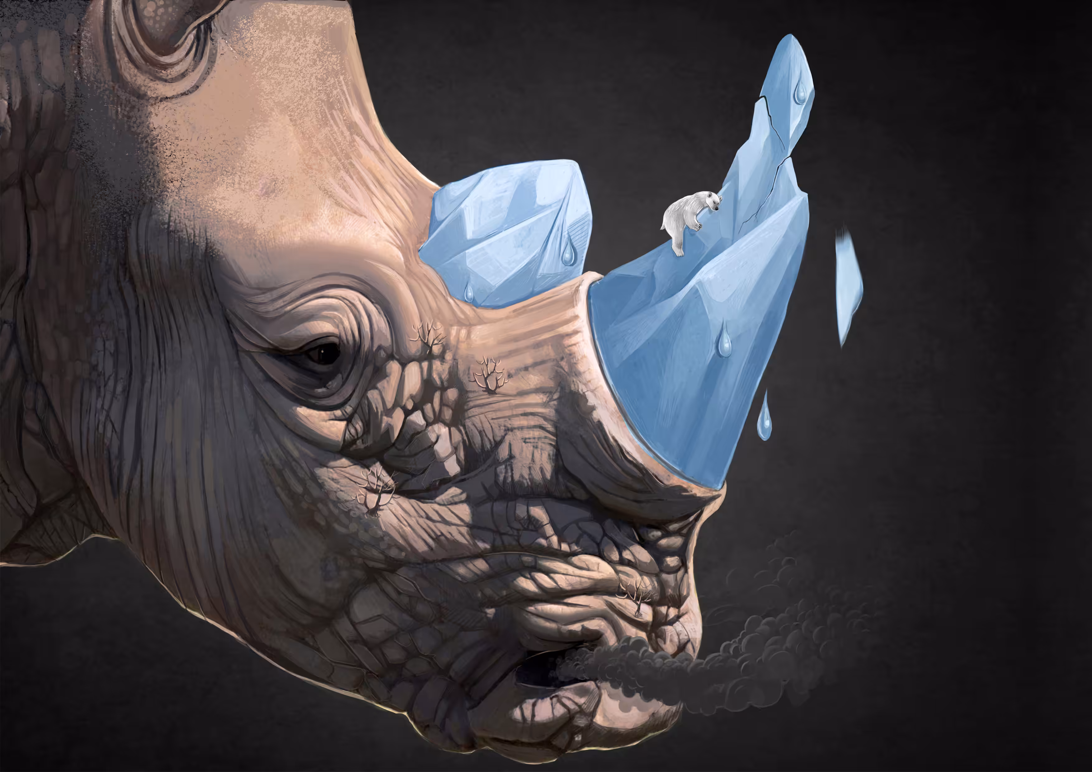 Man and the environment