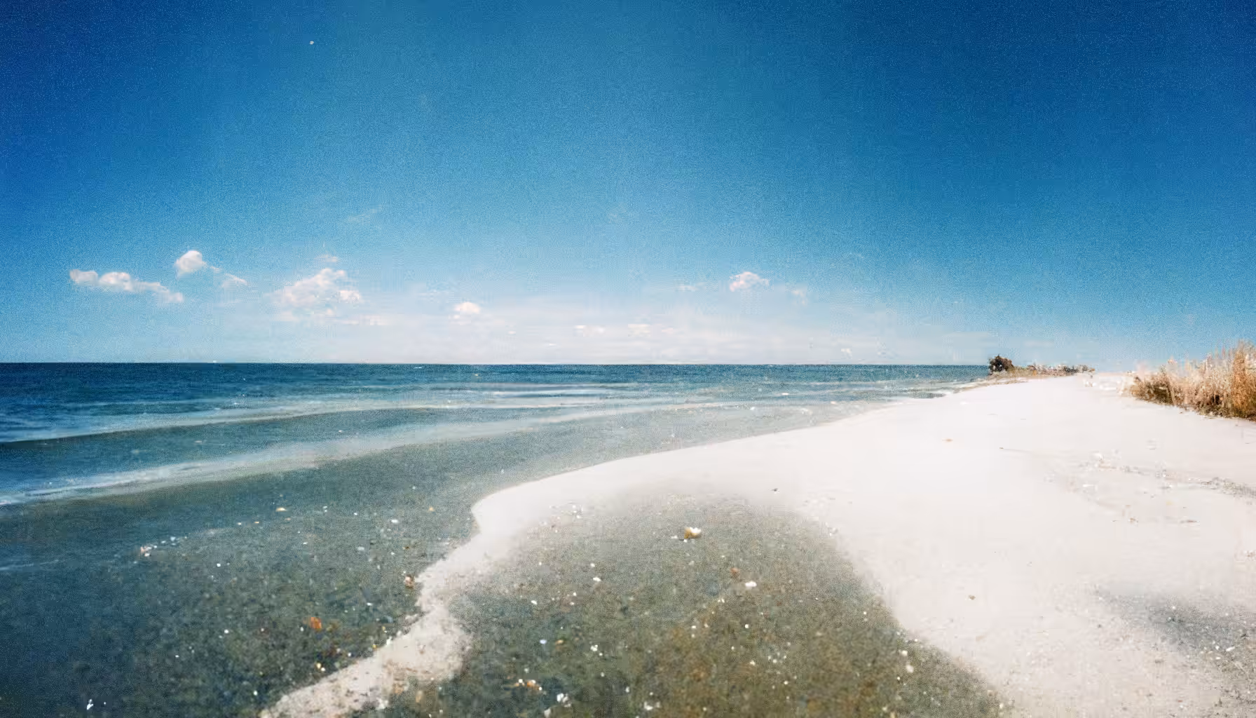 Serene Summer Beach Walk